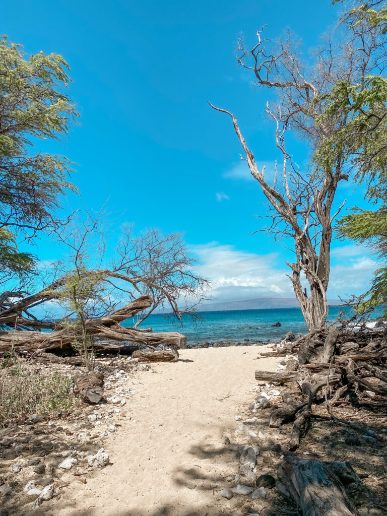 Hoapili Trail Maui Hiking La Perouse Bay 