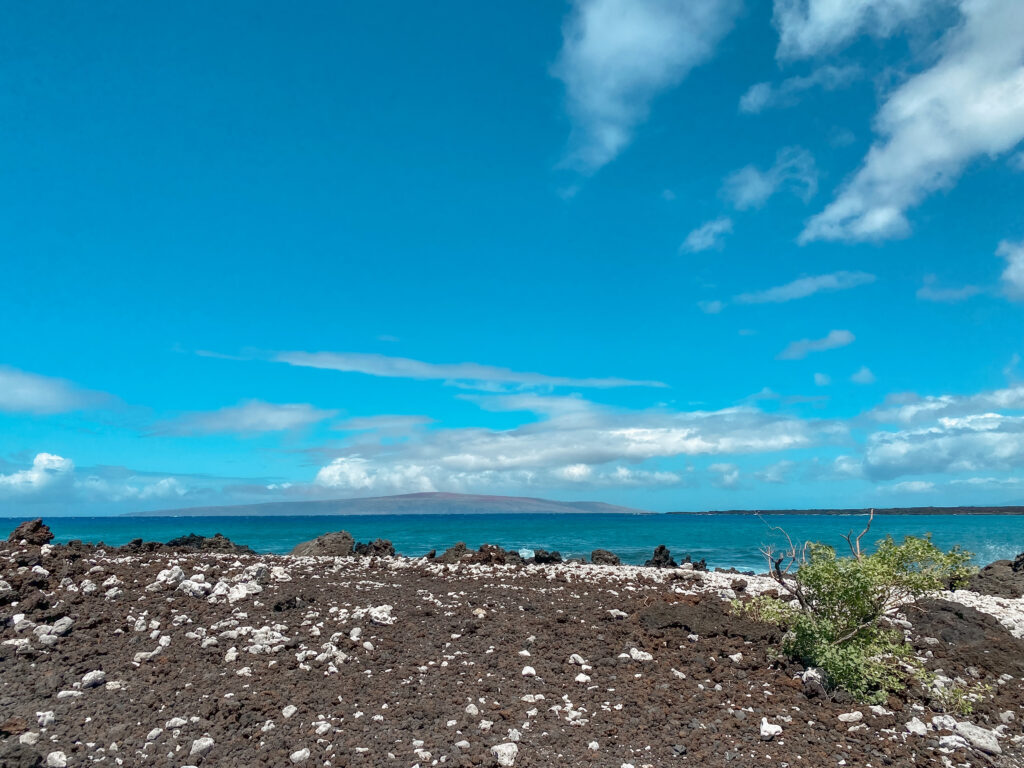 Hoapili Trail Maui Hiking La Perouse Bay 