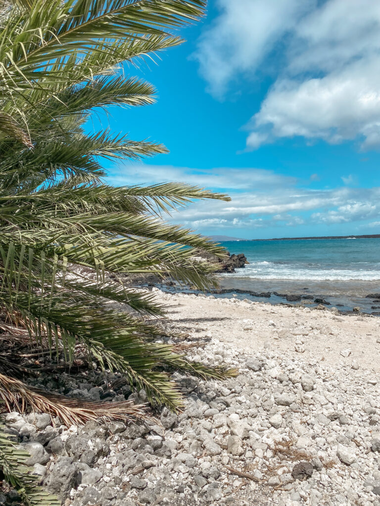 Hoapili Trail Maui Hiking La Perouse Bay 