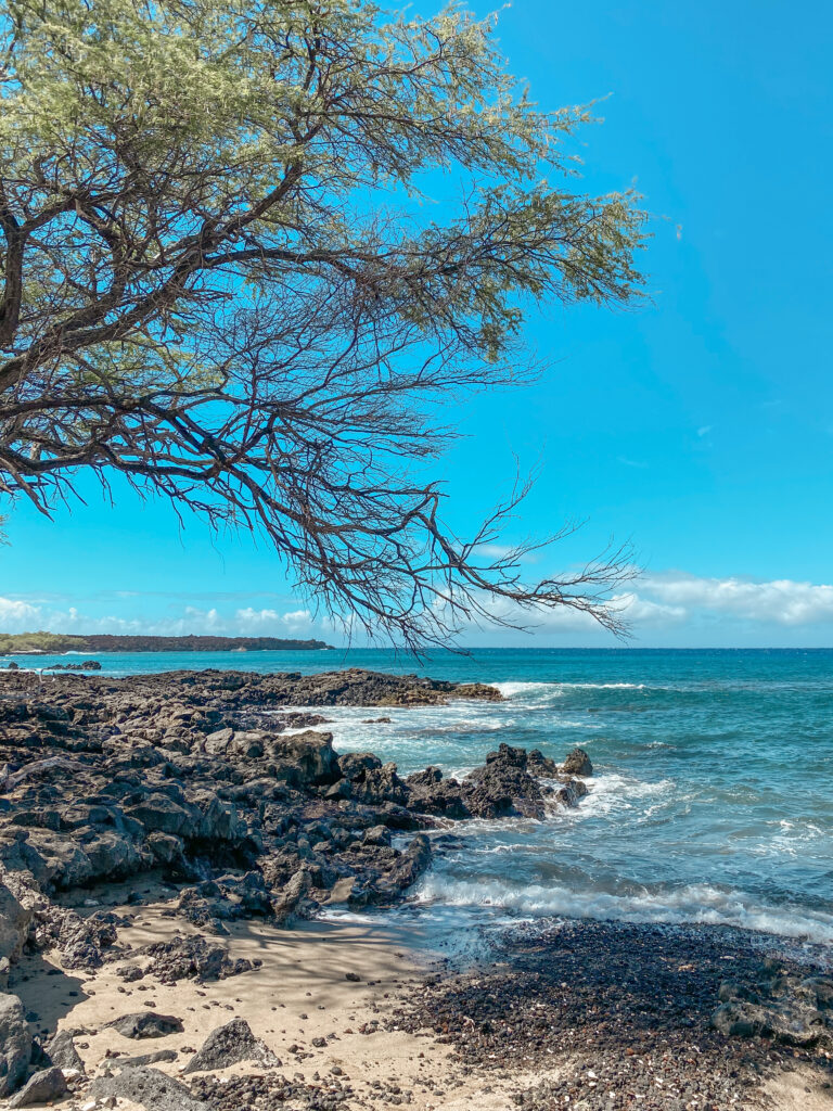 Hoapili Trail Maui Hiking La Perouse Bay 