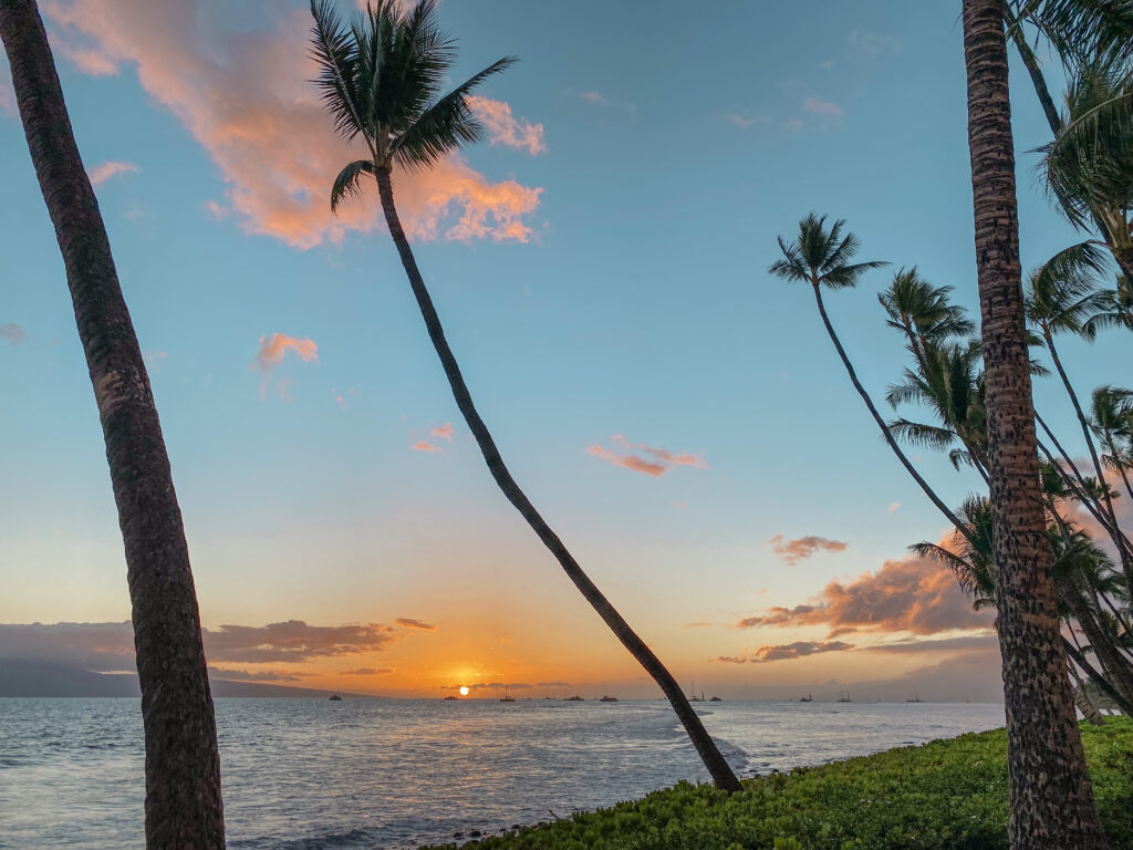 The Best Airbnbs in Maui